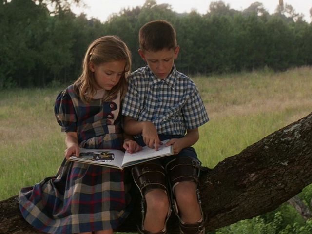 Forrest Gump and Jenny read in a tree in Forrest Gump.