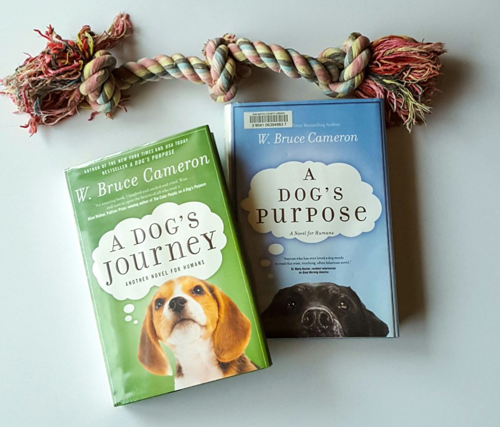 A Dog's Purpose and its sequel, A Dog's Journey, are two amazing reads for anyone who's ever loved a dog. 