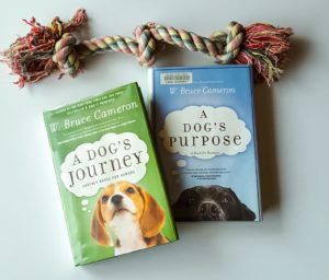 A Dog's Purpose and its sequel, A Dog's Journey, are two amazing reads for anyone who's ever loved a dog.