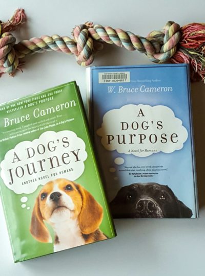 A Dog's Purpose and its sequel, A Dog's Journey, are two amazing reads for anyone who's ever loved a dog.