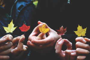Pumpkin patches, apple picking, and cider are in season. See what basic bitch autumn activities are crackin' in the Bay Area.